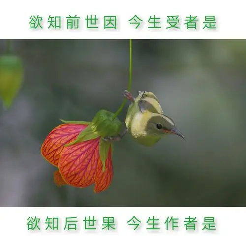 愈是精进修行的人,找麻烦的就愈多.为什么?