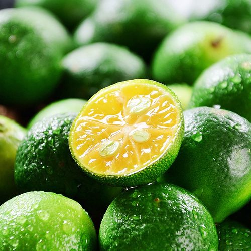 金桔小青新鲜青金小金奶茶冷饮店专用水果香水桔子