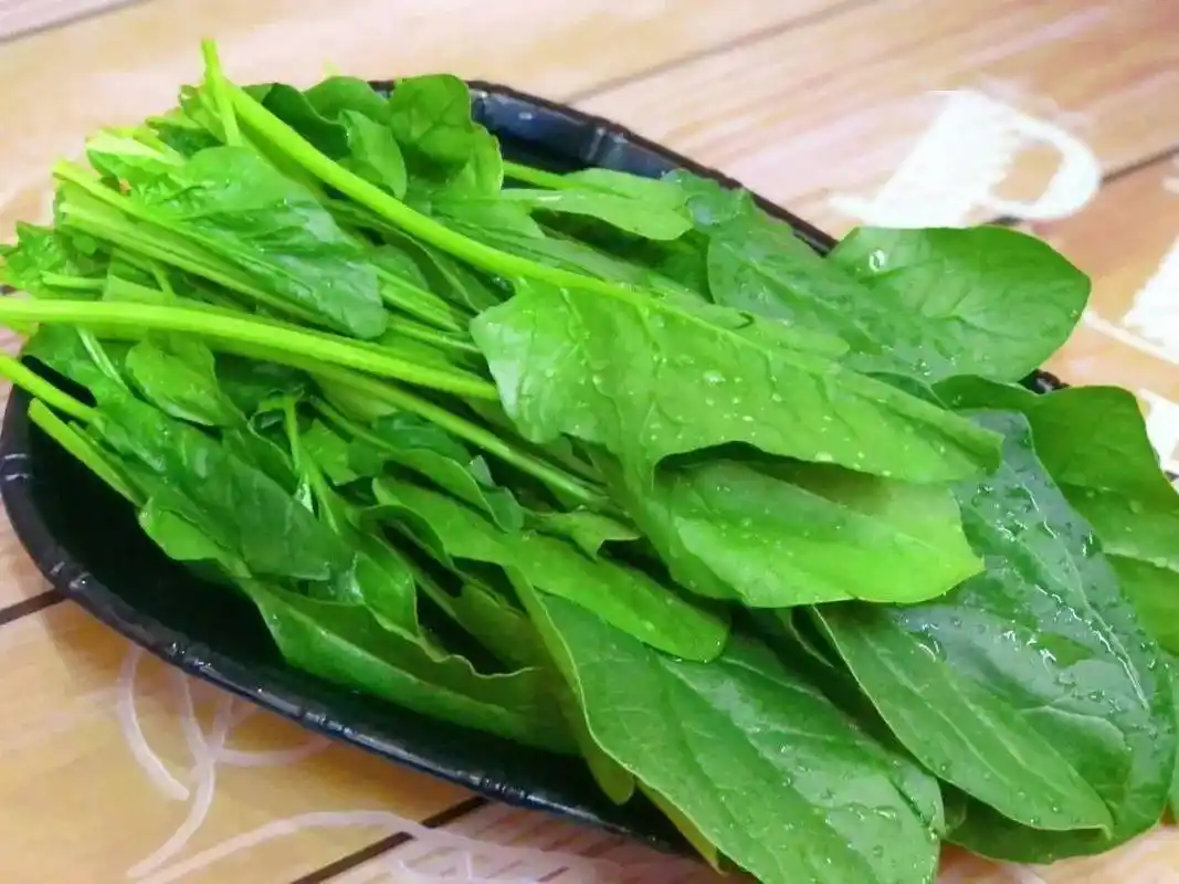 699元享6767门市价159元的兔肉火锅套餐麻辣兔肉火锅25斤菠菜