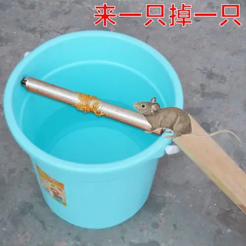 老鼠夹捕鼠神器家用循环全自动陷阱桶捕捉抓逮灭耗子克星高效笼子