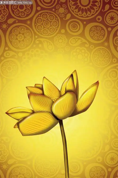 图片:金色荷花图片,主题为荷花,可用作荷花图片,金色花朵,金色莲花