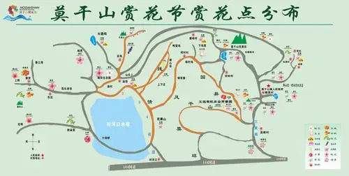 莫负好春光!莫干山邀你开启一段赏花之旅