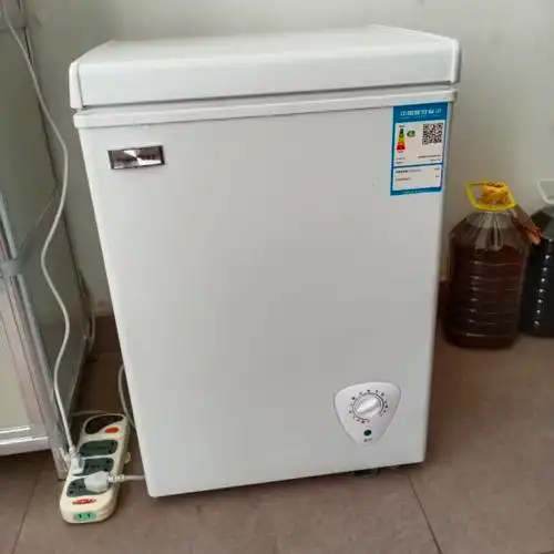 荣事达bdbc108108升冰柜小型家用冰箱冷柜冷藏迷你保鲜冷冻两用