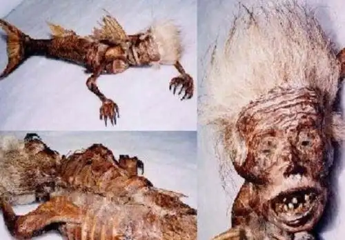 鱼人真实图片曝光面目狰狞吃人不吐骨头诡异至极