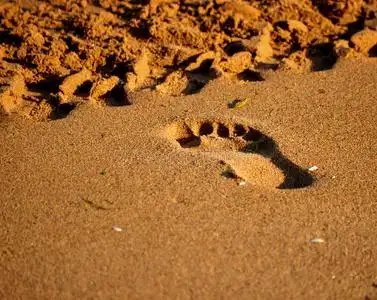 情路我赤脚行走图片