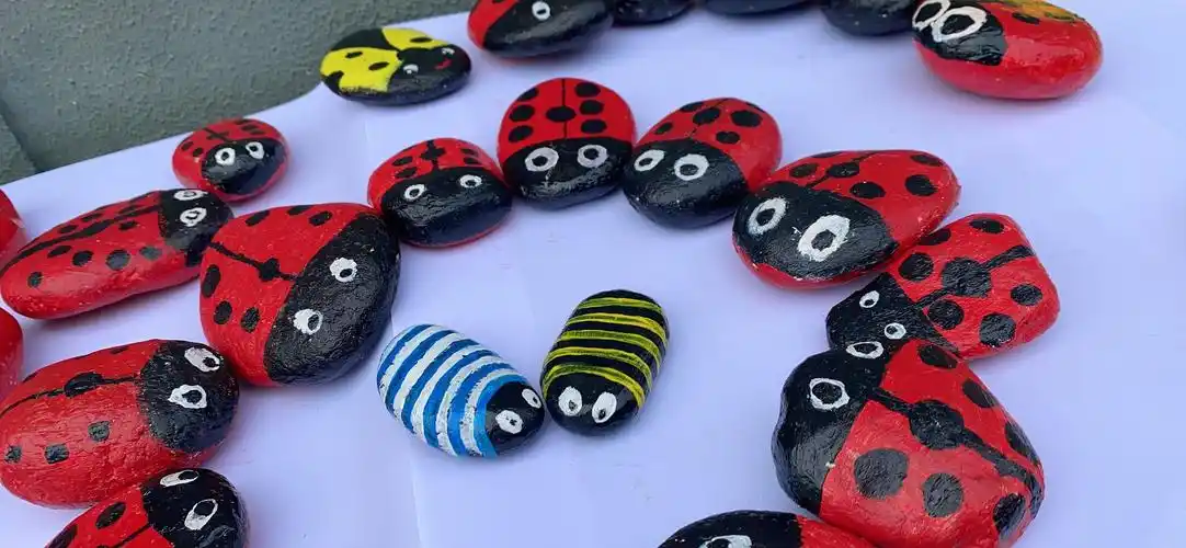 青川县关庄镇中心小学校学生美术作品石绘篇～"我用石头来作画"