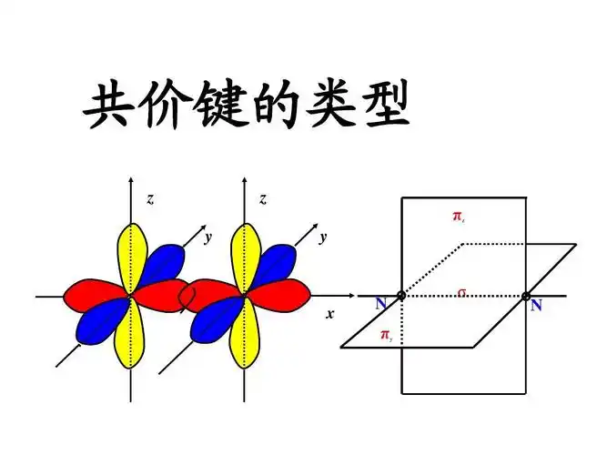 共价键的类型ppt