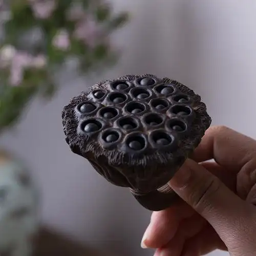 宜兴紫砂镶嵌茶宠手工雕塑莲蓬雅玩小品陶瓷功夫茶宠摆件