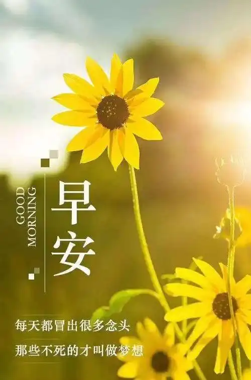 5月10日(人生最美好的事,就是每一次醒来都是崭新的一天)早安