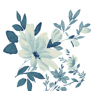 淡雅图片免费下载_淡雅素材_万素网