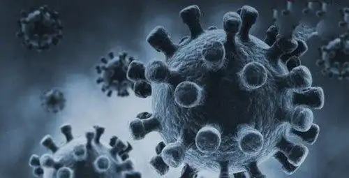 世界十大恐怖病毒埃博拉仅排第二第一造成上亿人死亡