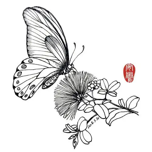 【线描练习】重新整理了前几日的蝴蝶_画师彡水__插画师作品_涂鸦王国