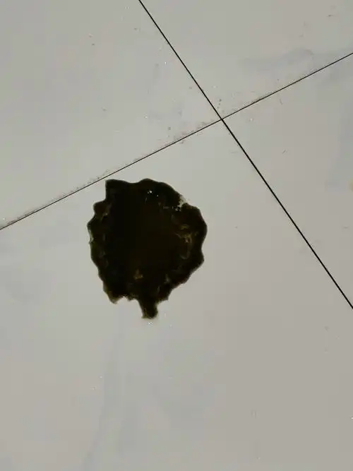 您好请问小鸭子每天拉几摊酱油样的屎而且很臭偶尔还拉几套白色的屎小