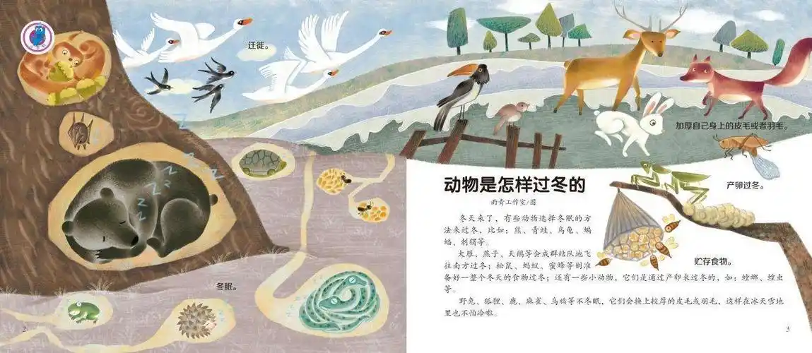 大一班班本活动《动物过冬》