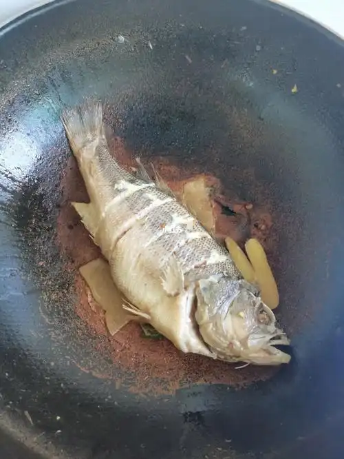 接个电话把猫咪的鱼给烧糊了