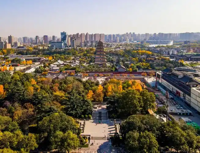 航拍西安大雁塔秋色