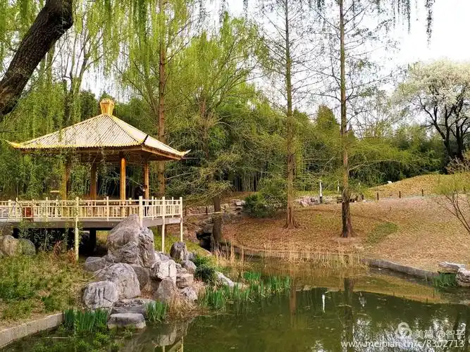 拥抱春天～走进【北京紫竹院公园】