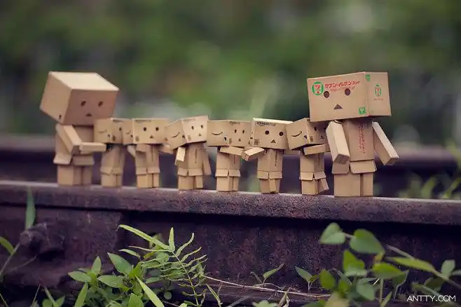 danboard纸箱人阿楞