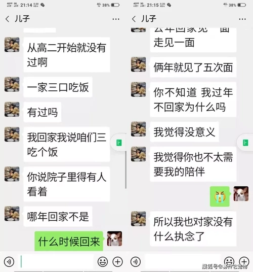 马彦春与儿子聊天记录