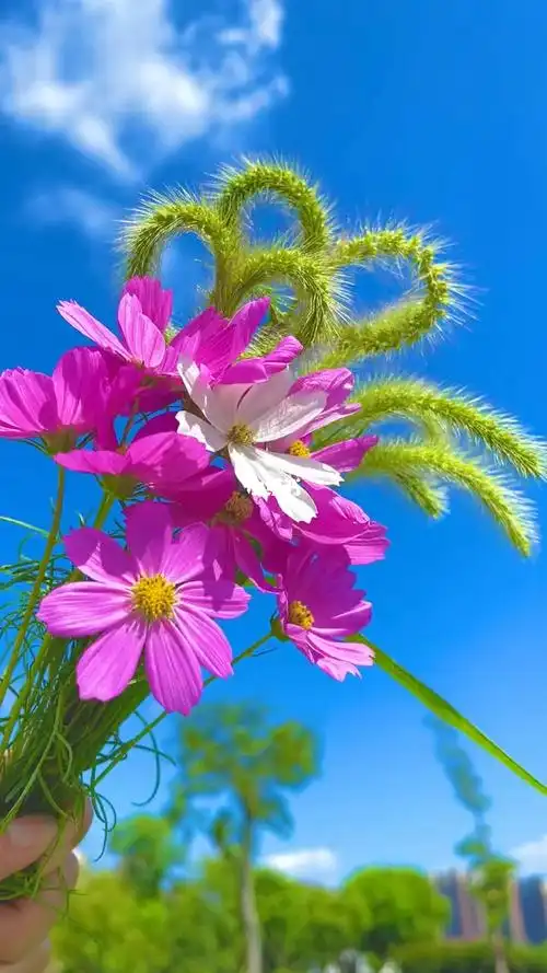 "果然,心一简单,人就快乐,欢乐的节奏让人心情愉悦,再忙也别忘捕捉快