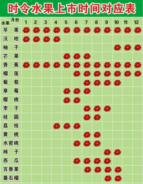 时令水果上市时间对照表