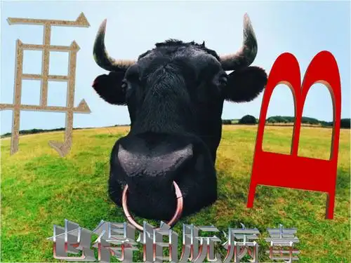 不得不防朊病毒ppt课件