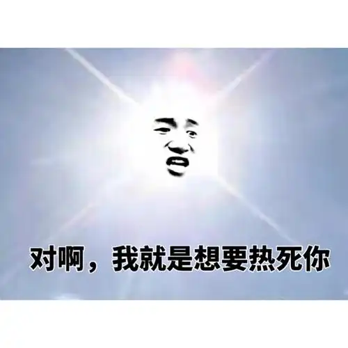 太阳:对啊,我就是想要热死你