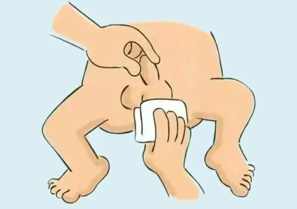 注意力度不要太大,手法要轻,要稳,要缓,将丁丁根部和周围容易藏污纳垢