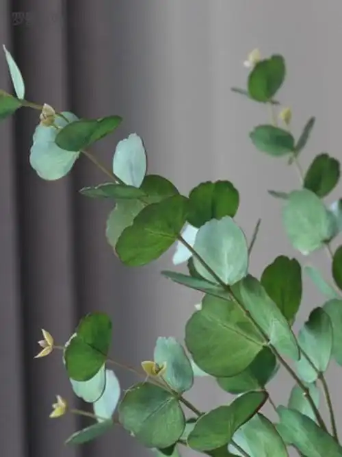 罗曼妈妈北欧轻奢仿真尤加利叶绿植圆叶插花客厅餐桌装饰花摆设