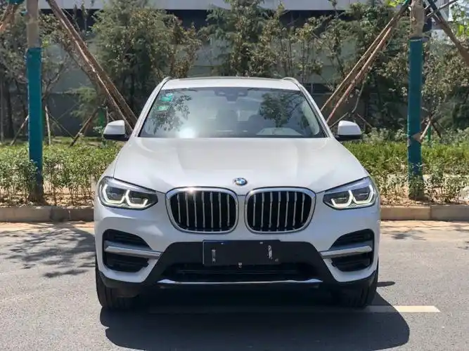 【辽源】2020年1月 宝马 宝马x3 2020款 xdrive25i 豪华套装 自动档