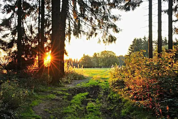 早晨阳光图片_早晨阳光图片大全_早晨阳光图片下载
