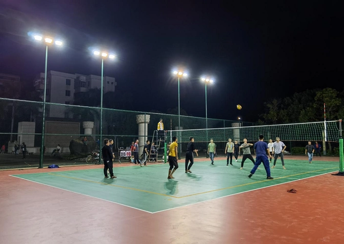 【北陡】学党史,办实事——北陡镇标准灯光排球场投入使用