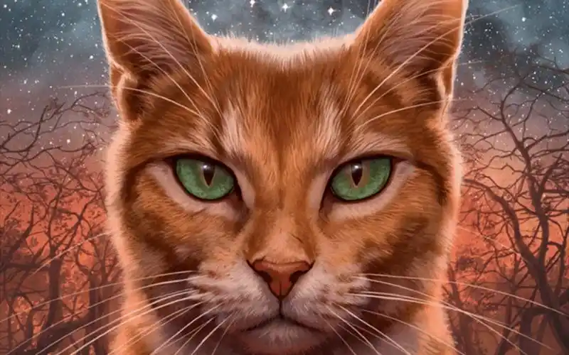 猫武士 头像第一弹