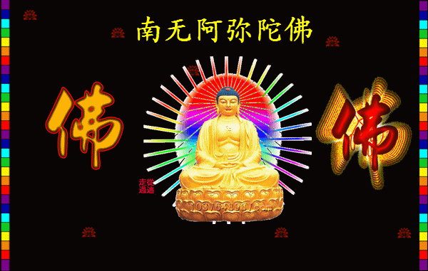 600_381gif 动态图 动图