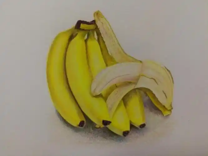 每天彩铅画香蕉