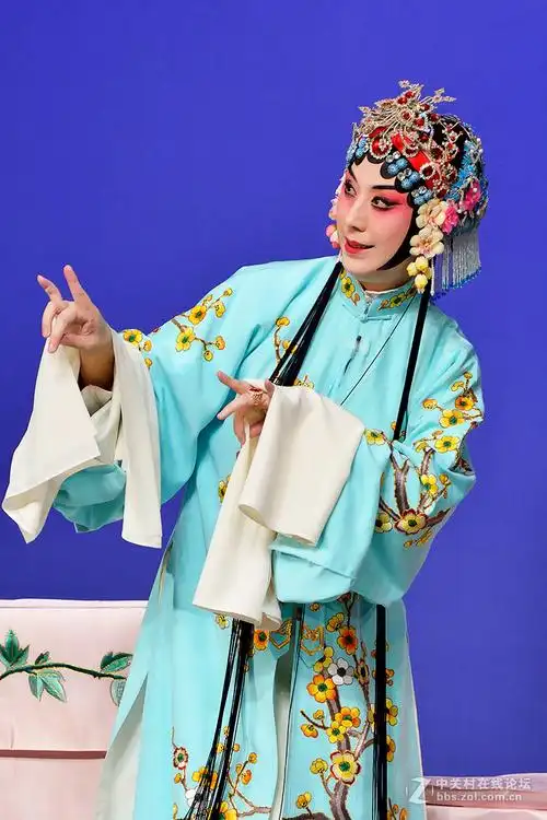 京剧《凤还巢》剧照拍摄于2016510主演史依弘