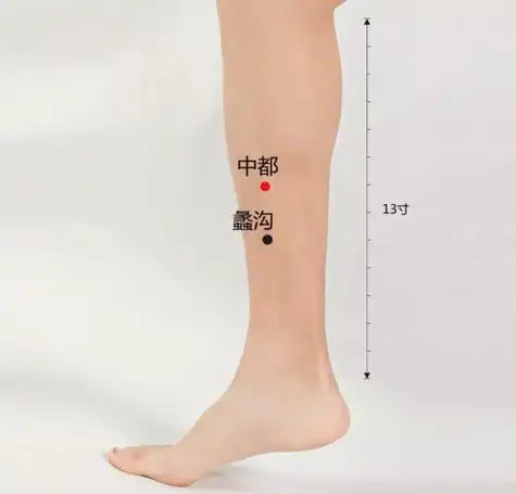 中都穴位描述内踝尖上7寸,胫骨内侧面的中央.