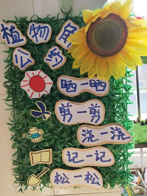 其它 开平二幼中一班——畅想春天 写美篇我们可要遵守植物角公约哦