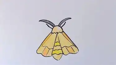 简笔画蚕蛾,挑战一万个简笔画第165-生活-完整版视频在线观看-爱奇艺