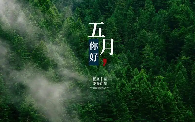 五月创意文字图片桌面壁纸