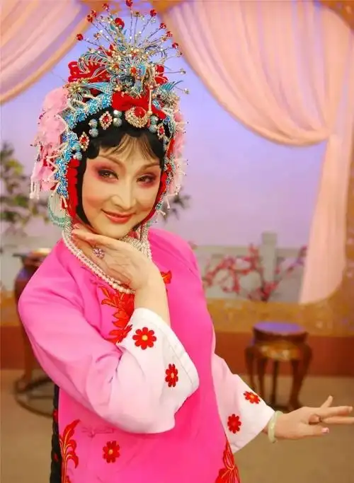 个人表演特别奖,全国豫剧广播大奖赛金奖,今日中国豫剧十大名旦金奖