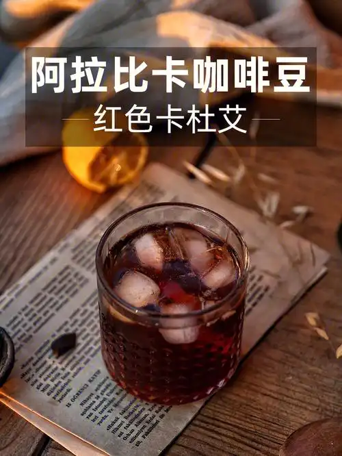 阿拉比卡咖啡豆红色卡杜艾