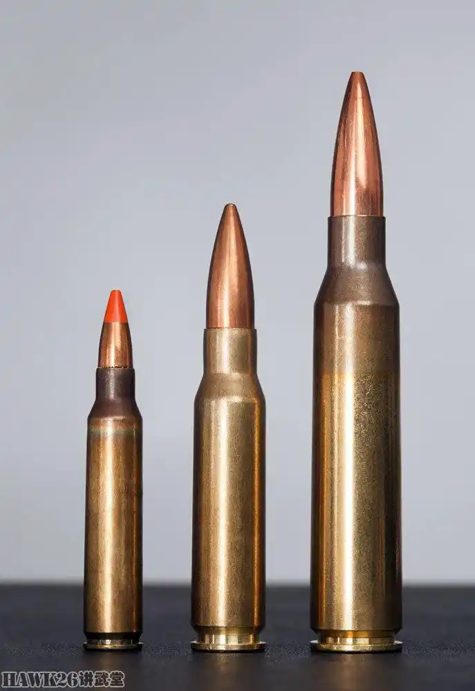 印度陆军新中口径狙击步枪招标 口径.338拉普阿马格南 数量1800支