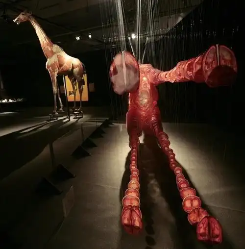 以下图片可能引起部分读者不适,请谨慎观看