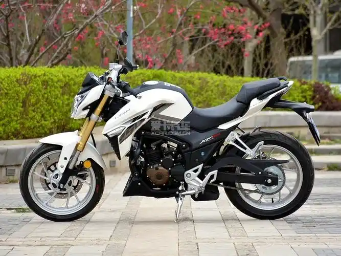 【图】力帆摩托kp系列2018款lf250-3r(kp250)-爱卡汽车图片