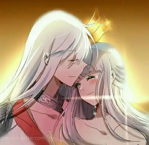 王者荣耀凤求凰凤凰于飞情侣头像