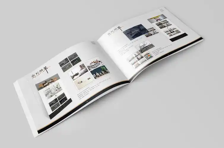 毕业设计/网页设计/画册设计