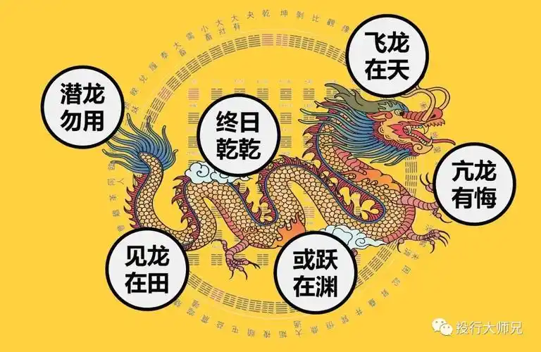 真正的战狼,不是四处追逐而是耐心等待