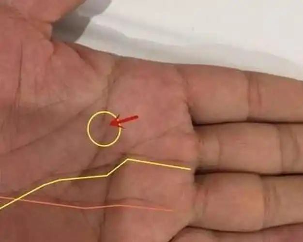 第二,一马平川无人不富:左手川字掌,玉柱纹伸长,延伸至中指位置,构成