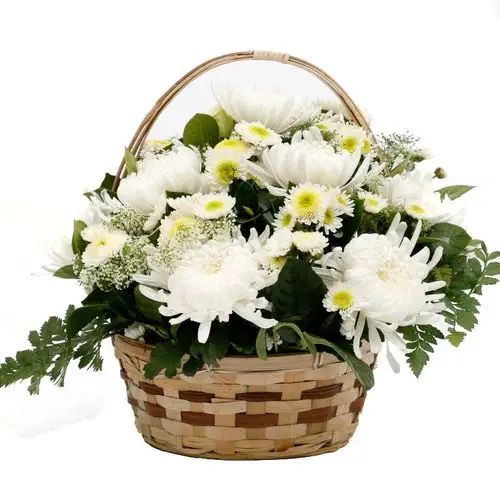 清明节黄白菊花鲜花手提花篮花束扫墓祭奠祭祀追悼念速递同城广州